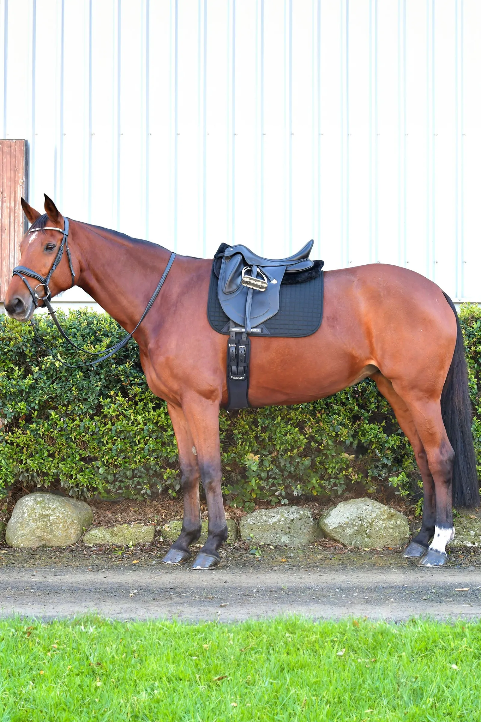 Weatherbeeta Prime Comfy Fleece Halbpad* Sattelpads