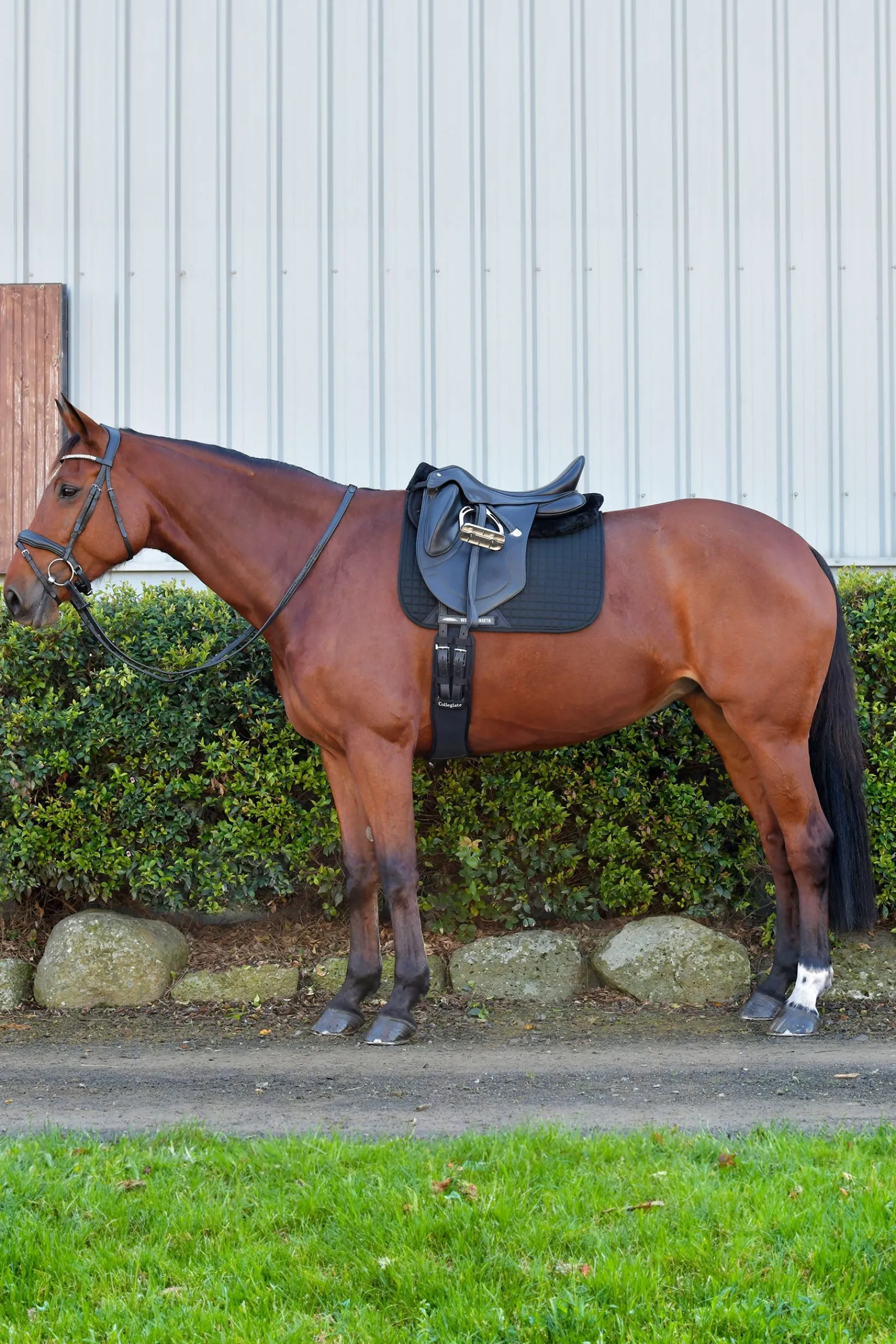 Weatherbeeta Prime Comfy Fleece Halbpad* Sattelpads