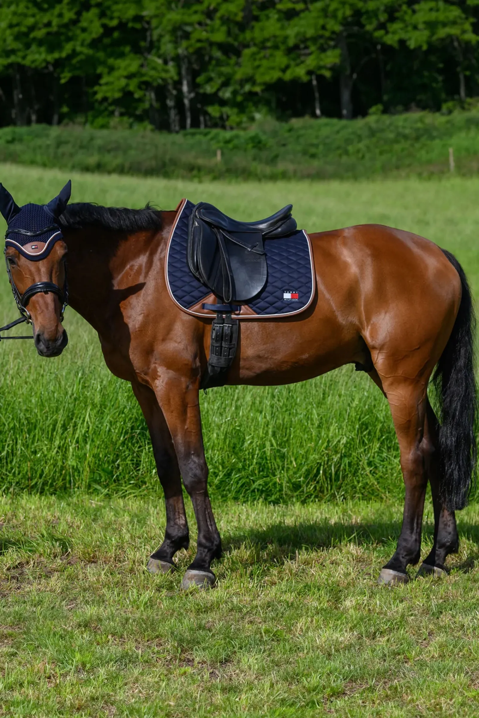 Tommy Hilfiger Equestrian Princeton Dressurschabracke* Dressurschabracken