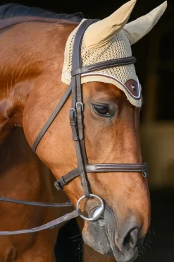 Tommy Hilfiger Equestrian Princeton Fliegenhaube* Ohrenhauben|Ohrenhauben