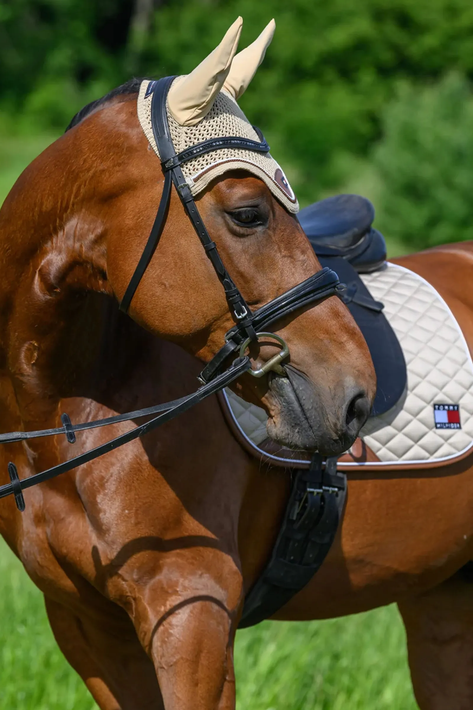 Tommy Hilfiger Equestrian Princeton Fliegenhaube* Ohrenhauben|Ohrenhauben