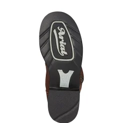 Ariat Probaby Damen Westernreitstiefel* Stallschuhe