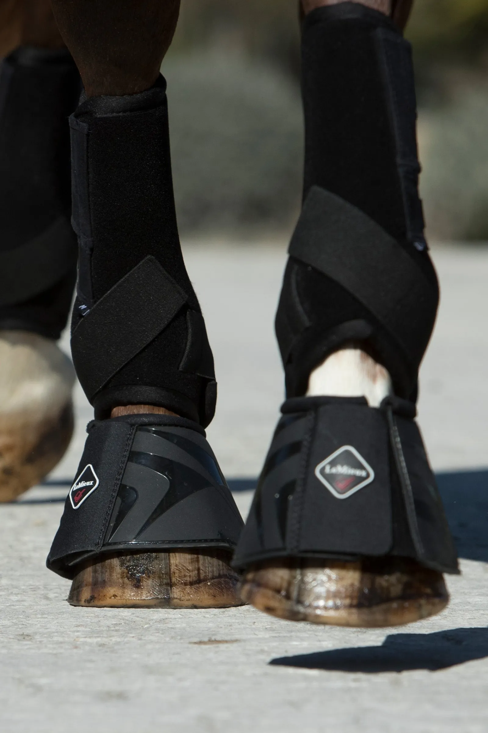 LeMieux ProShell Hufglocken* Over Reach Boots