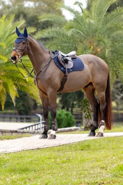 LeMieux Prosorb Plain 2 Pocket Close Contact Pad* Spring- & Vielseitigkeitsschabracken
