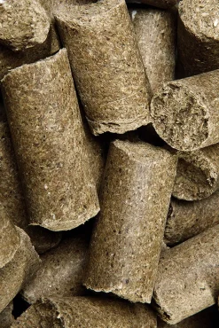 Speed Pure Apple Delicious ies, Leckerli, 5kg* Pferdeleckerlis