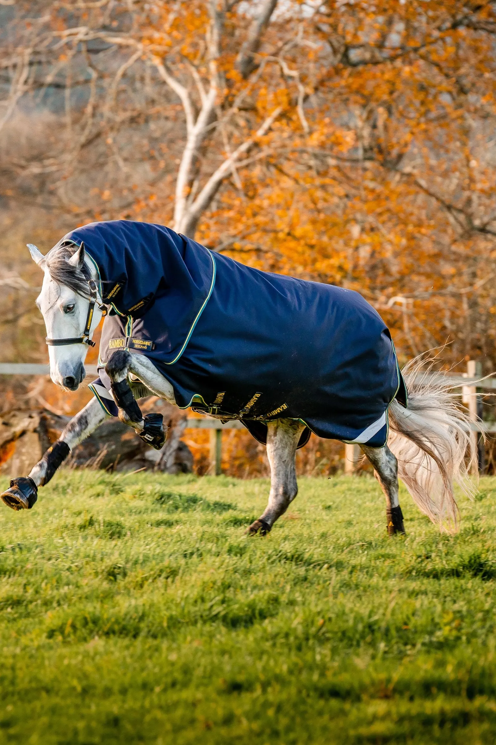 Horseware Rambo Duo Force 2.0 Turnout (100g Außendecke mit 100g Liner und 300g Liner)* Mittelschwere & Schwere Winterdecken