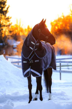 Horseware Rambo Duo Weidedecke mit abnehmbarem Halsteil, 100g* Leichte Weidedecken