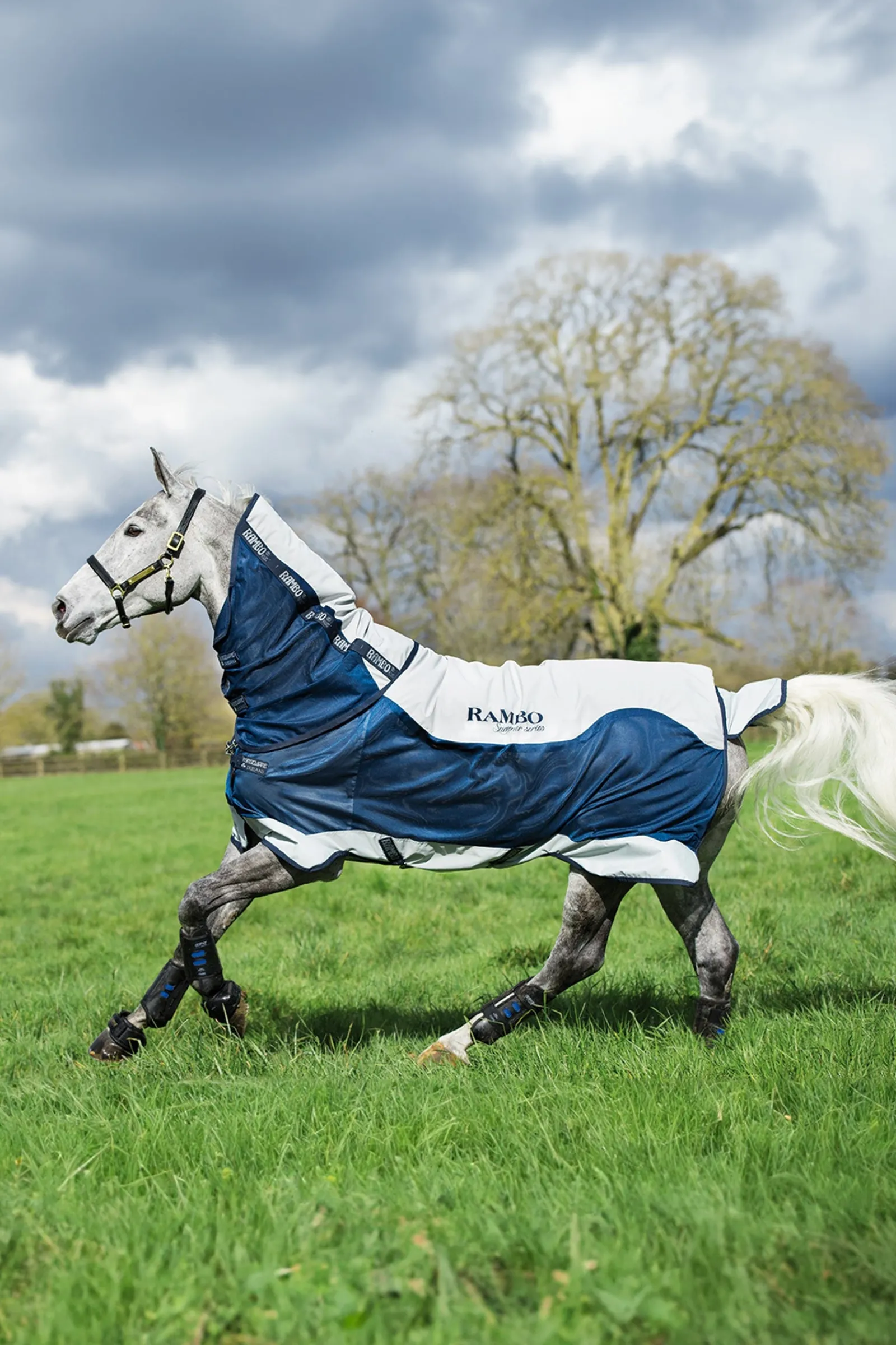 Horseware Rambo Summer Series Weidedecke mit Liner und abnehmbarem Halsteil, 100g* Leichte Weidedecken