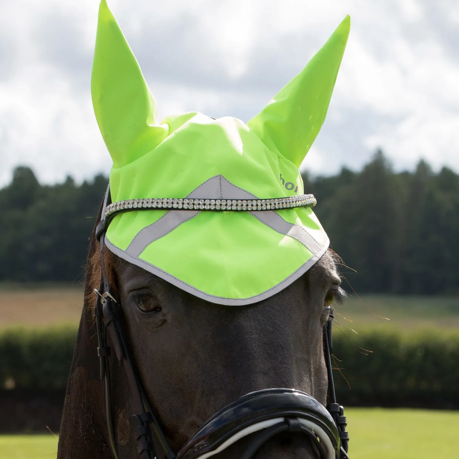 Horze reflektierende Ohrenhaube* Reflexausrüstung