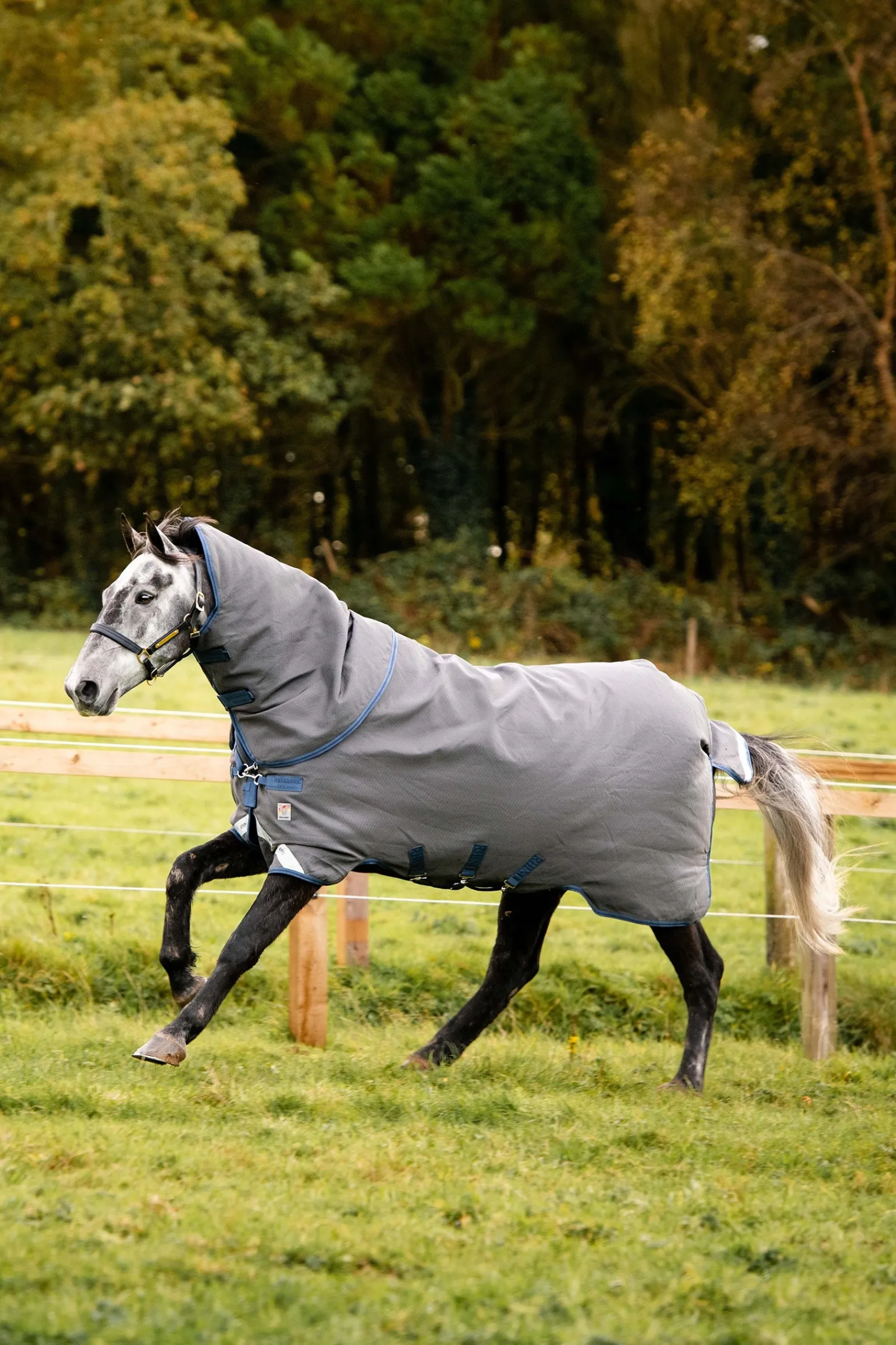 Horseware Rhino Plus HexSTOP Weidedecke, 0g* Leichte Weidedecken