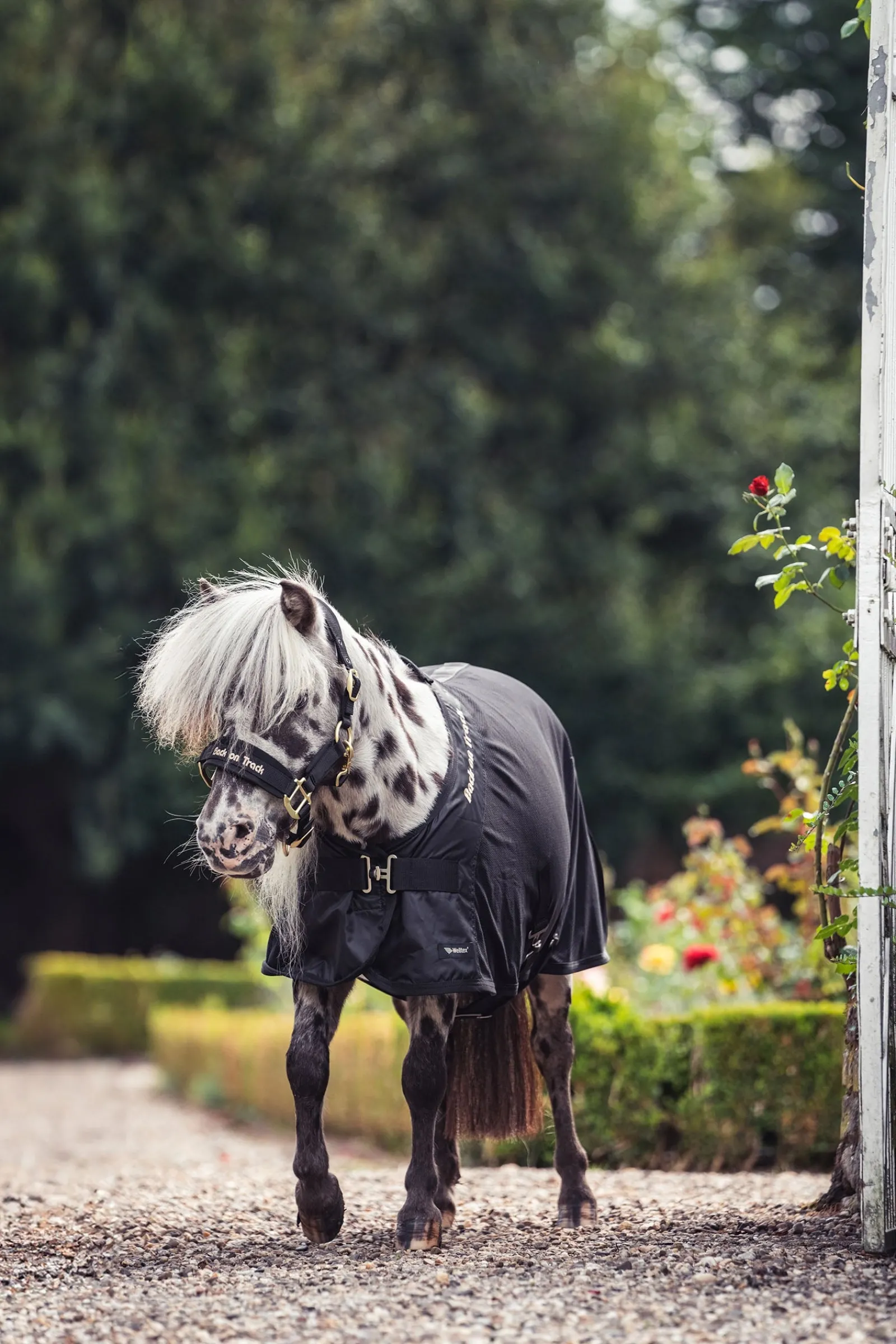 Back on Track Royal Pony Netzdecke Deluxe* Ponydecken|Ponydecken