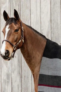 Kentucky Horsewear Schwere Fleecedecke* Abschwitzdecken