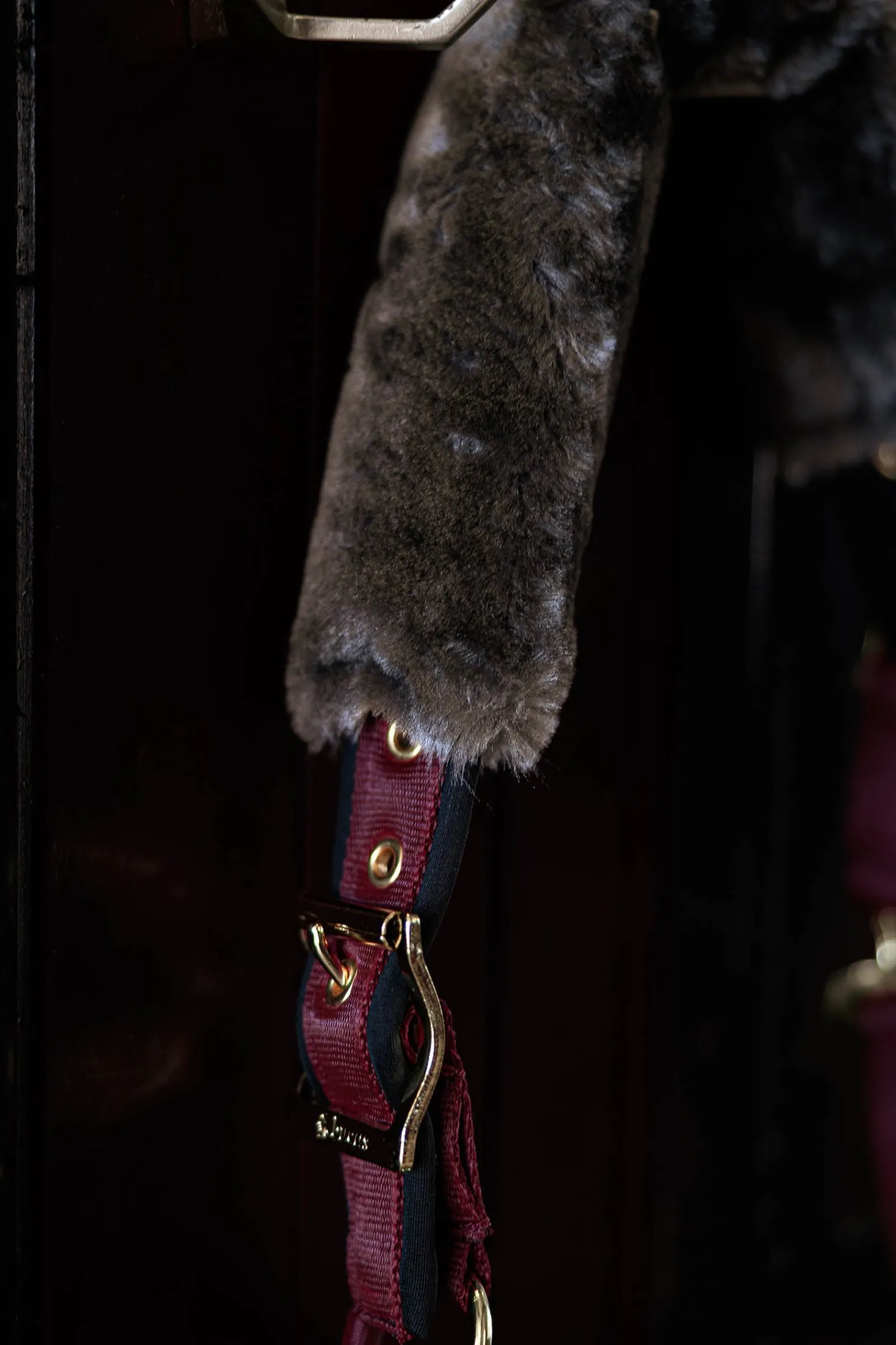 Bucas Show-Line Halter* Halfter