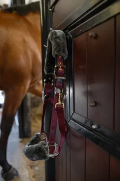 Bucas Show-Line Halter* Halfter