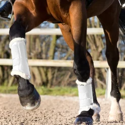 Horze Signature Gamaschen* Dressurgamaschen