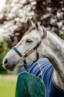 Horseware Signature geflochtenes Halfter* Halfter