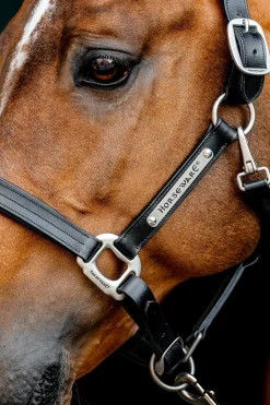 Horseware Signature Lederhalfter* Lederhalfter