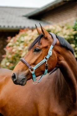 Horseware Signature Show Halfter* Halfter