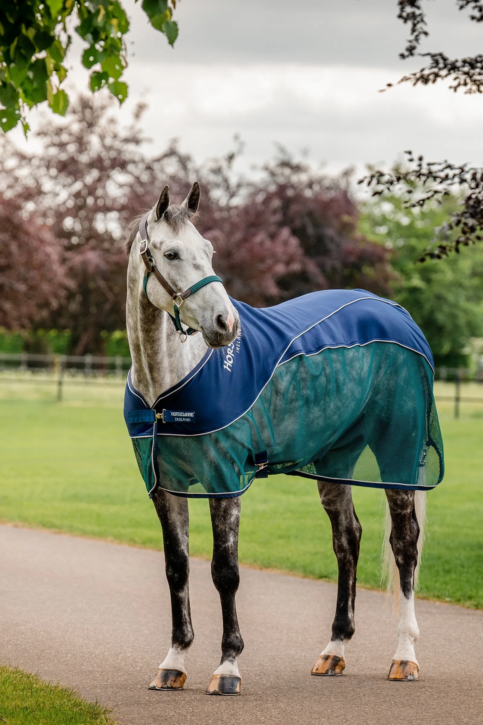 Horseware Signature Sport Abschwitzdecke* Abschwitzdecken