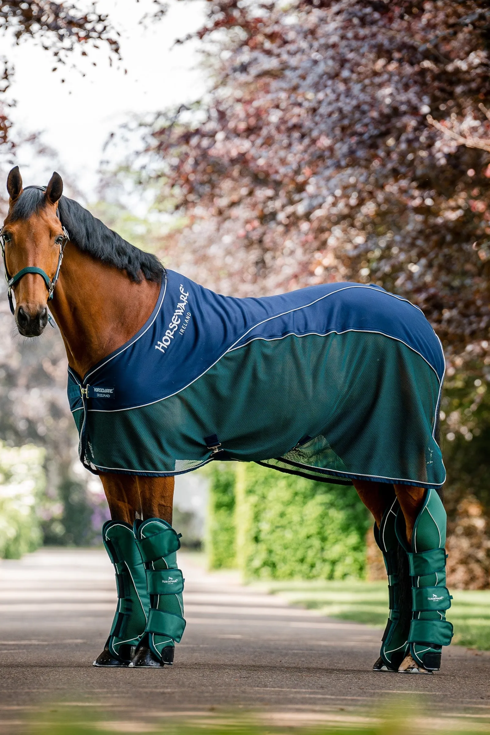 Horseware Signature Sport Abschwitzdecke* Abschwitzdecken