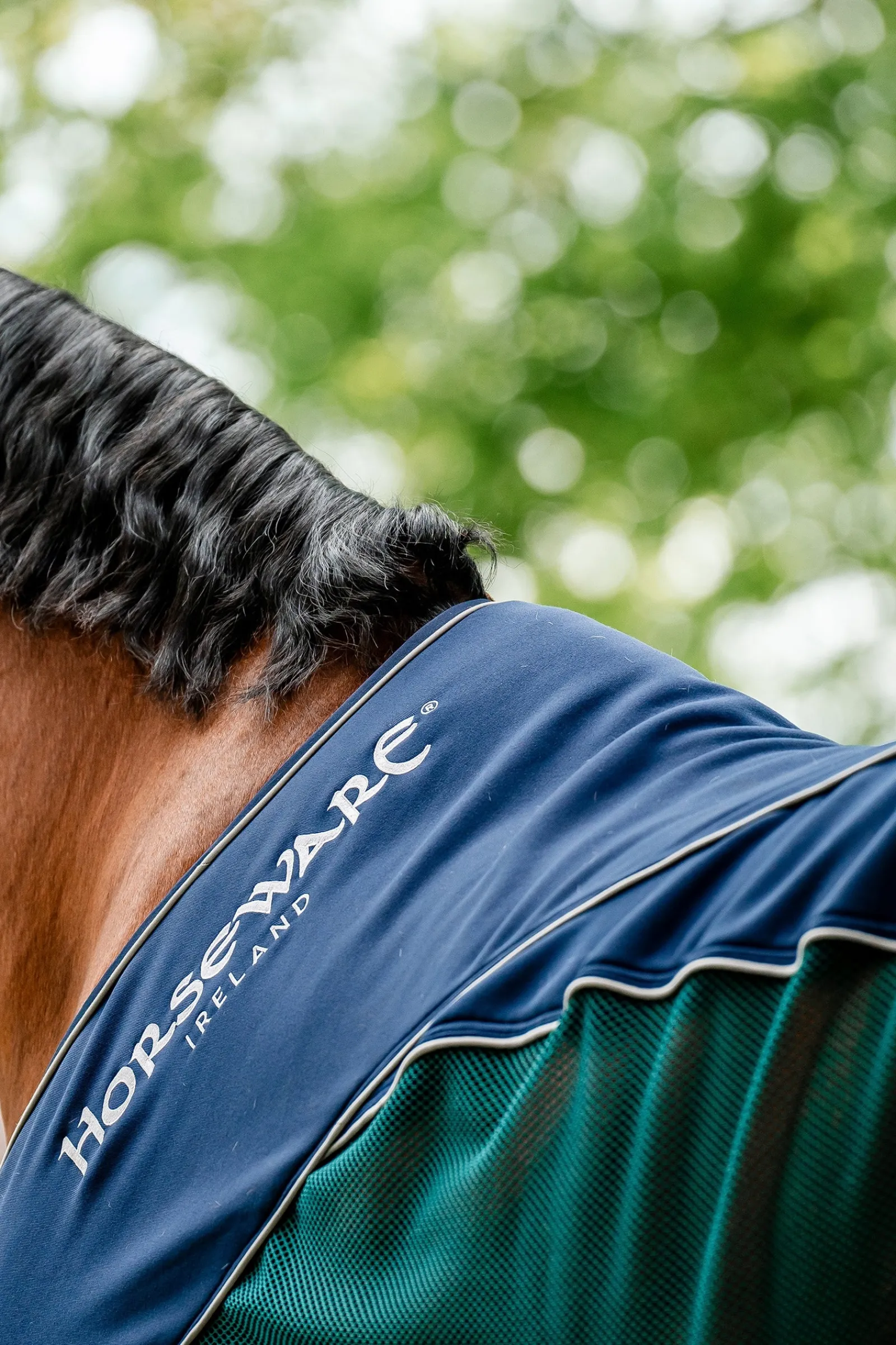 Horseware Signature Sport Abschwitzdecke* Abschwitzdecken