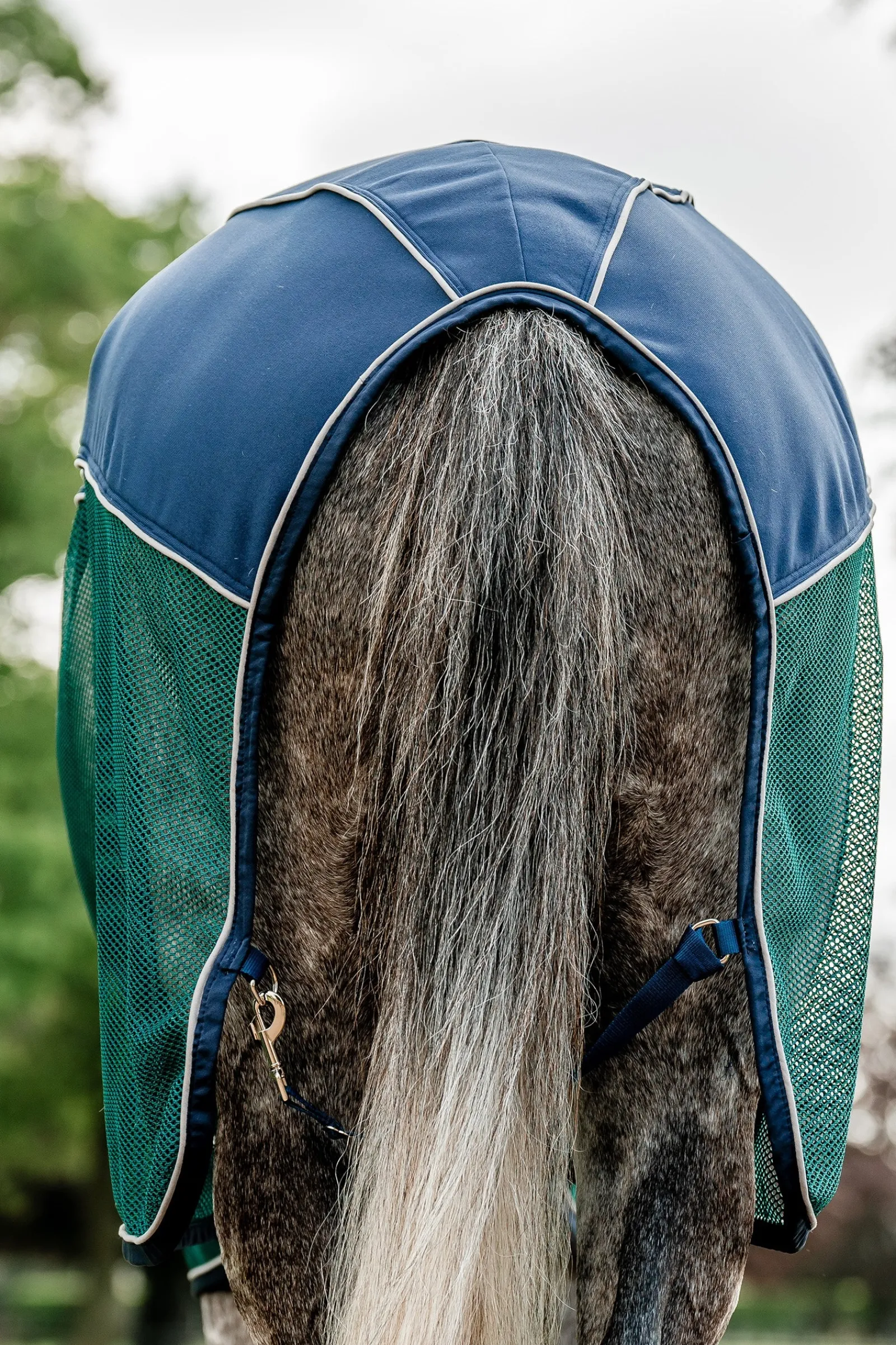 Horseware Signature Sport Abschwitzdecke* Abschwitzdecken