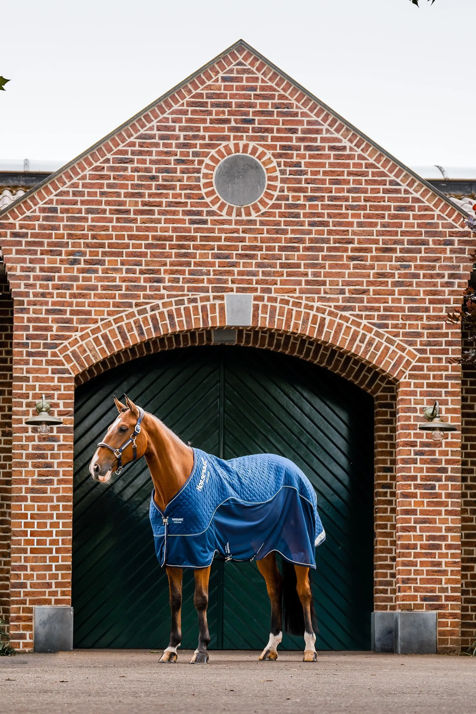 Horseware Signature Transportdecke, 50g* Abschwitzdecken