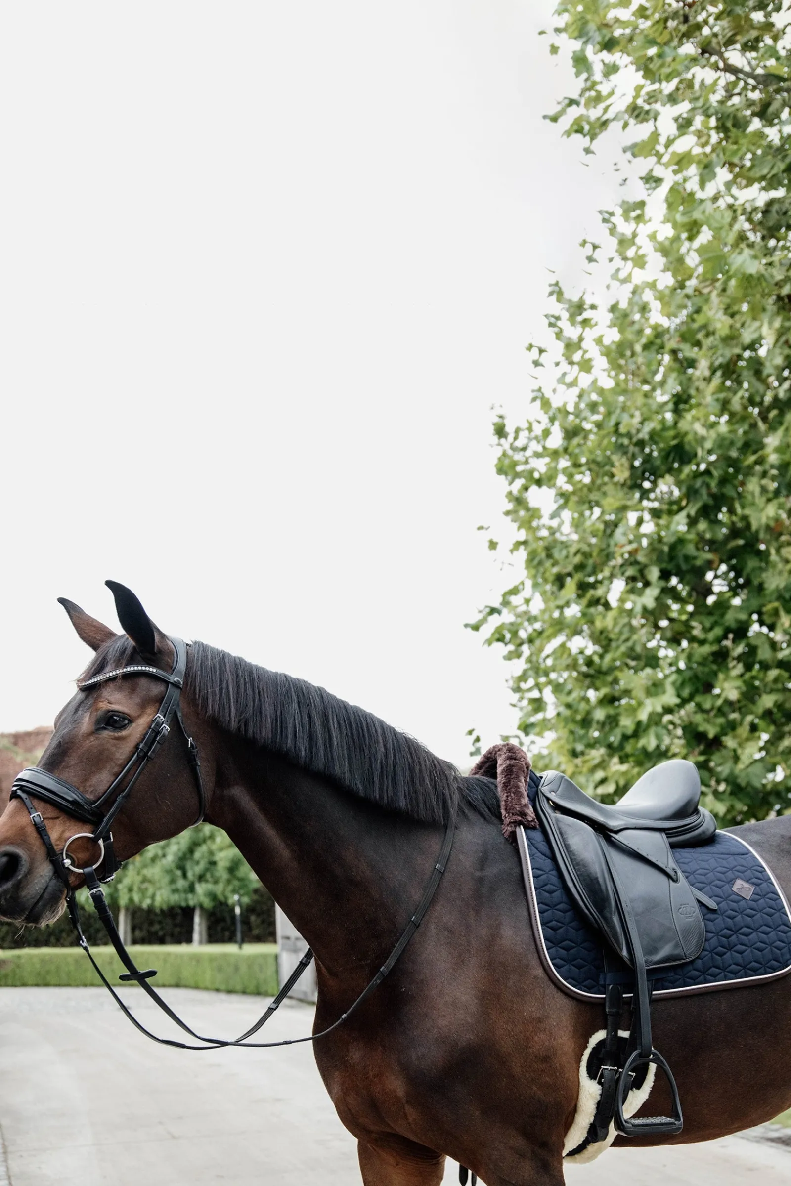 Kentucky Horsewear Skin Friendly Dressurschabracke* Dressurschabracken