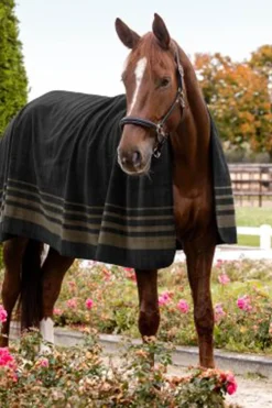 Waldhausen Sölden Fleece Rug* Abschwitzdecken