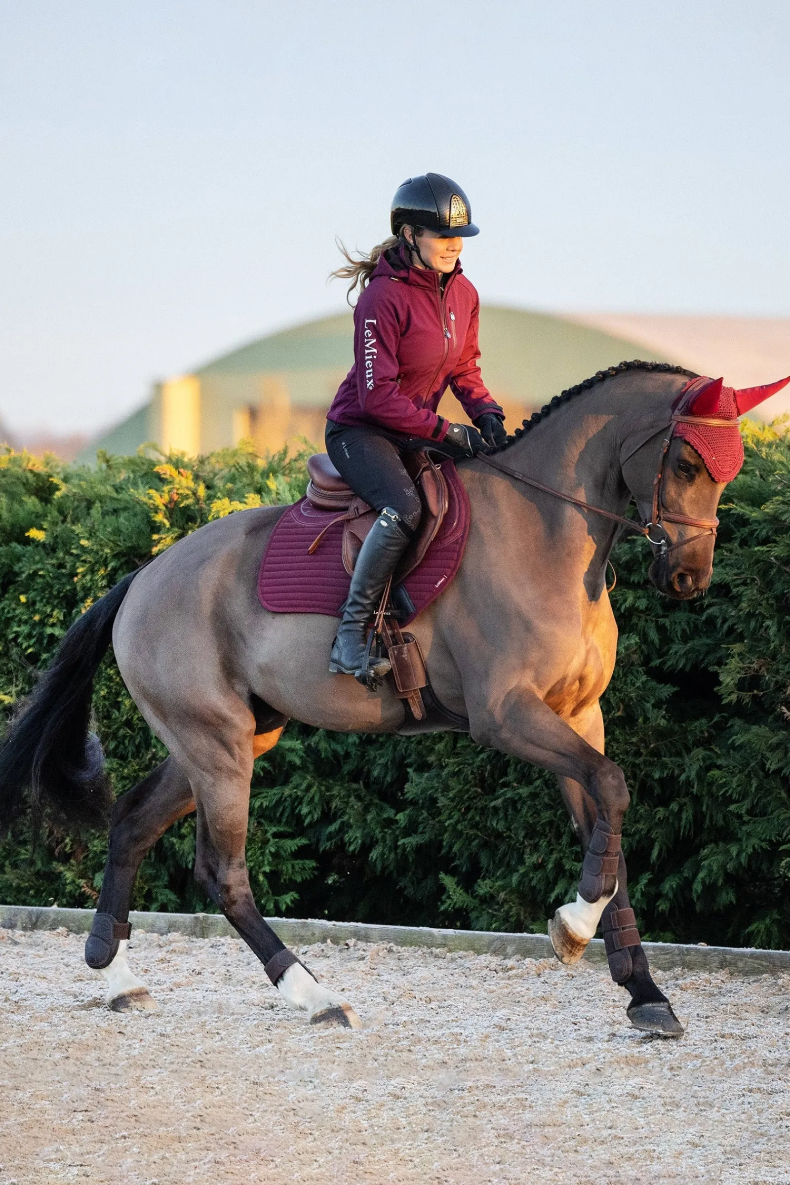 LeMieux Soft Shell Anti-Rutsch Euro Spring Schabracke* Spring- & Vielseitigkeitsschabracken