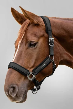 Waldhausen Soft Touch Halter* Halfter
