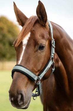 Waldhausen Soft Touch Halter* Halfter
