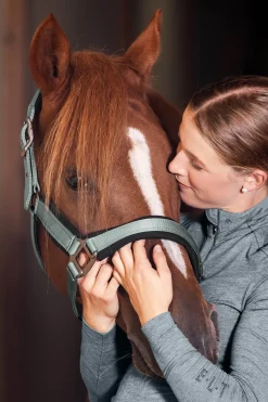 Waldhausen Soft Touch Halter* Halfter