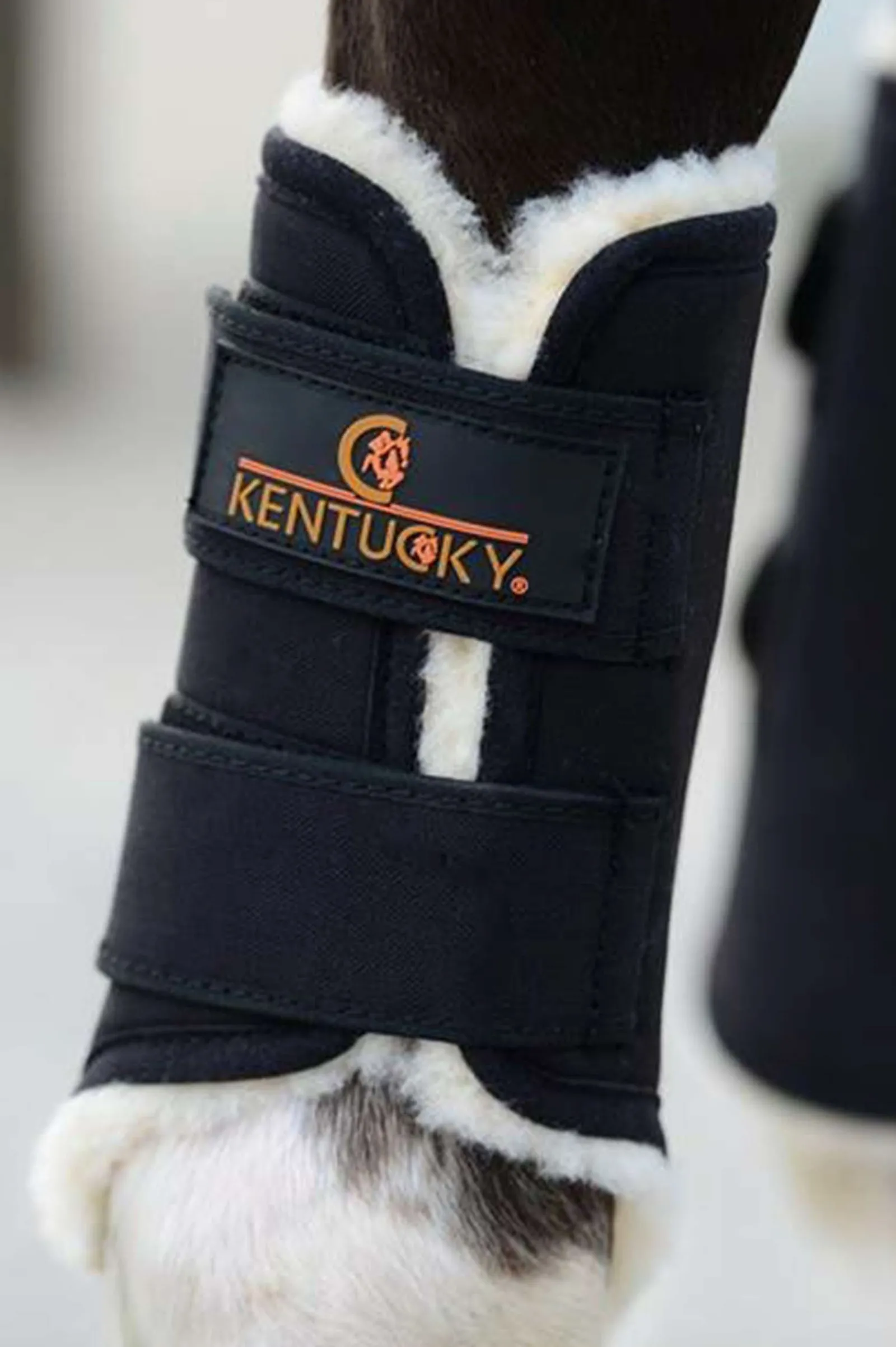 Kentucky Horsewear Solimbra Arbeitsgamaschen Vorne* Dressurgamaschen