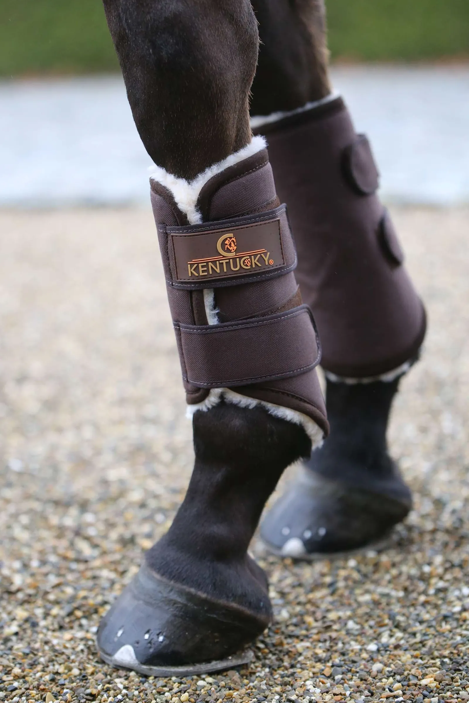 Kentucky Horsewear Solimbra Arbeitsgamaschen Hinten* Dressurgamaschen