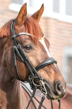 Kavalkade Sonya Weymouth Bridle* Trensen & Nasenriemen