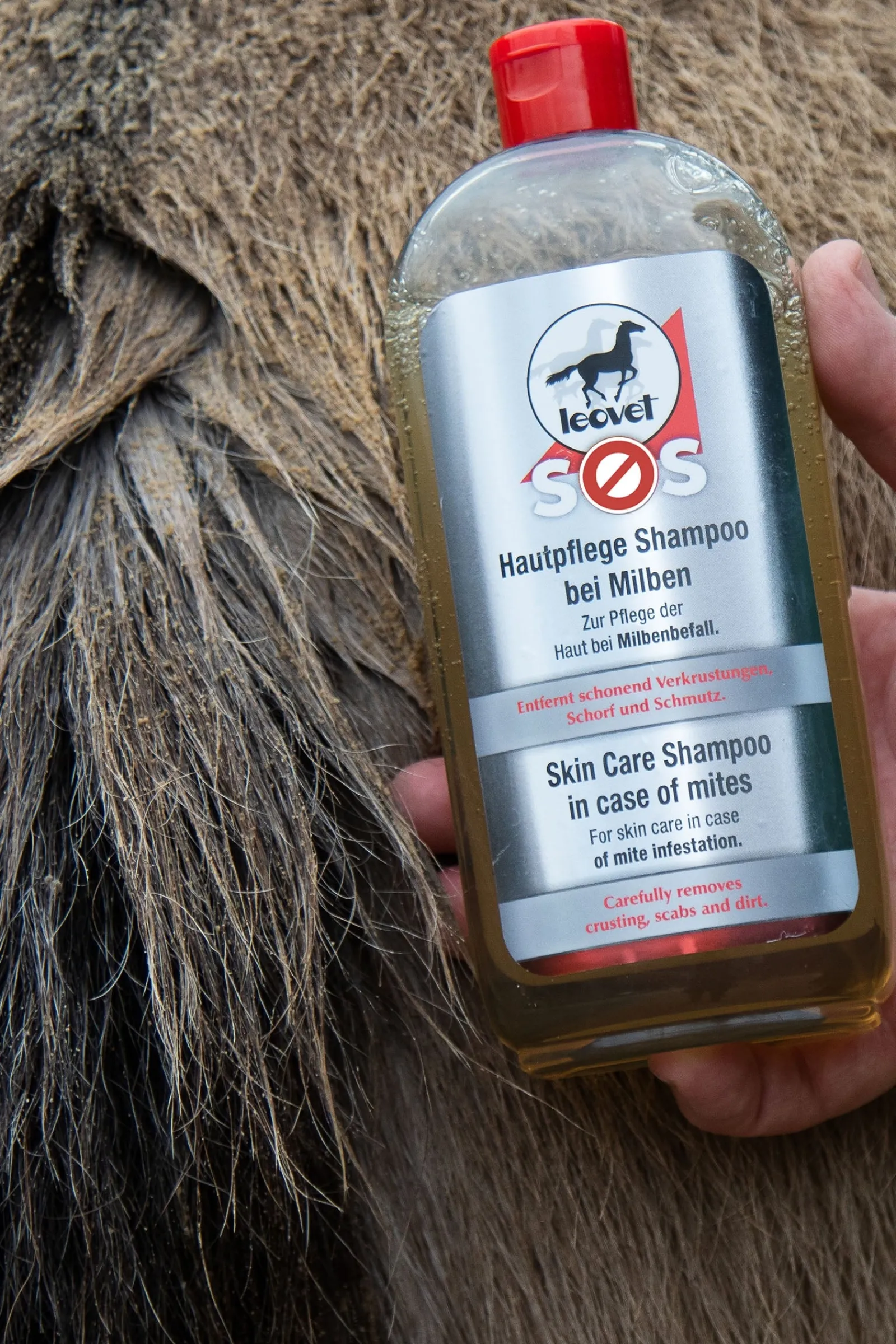 Leovet SOS Hautpflege Shampoo bei Milben, 500ml* Haar- & Mähnen- & Schweifpflege
