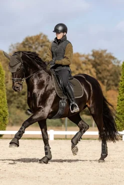 Waldhausen St. Gallen All Purpose Saddle Pad* Spring- & Vielseitigkeitsschabracken