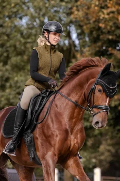 Waldhausen St. Gallen All Purpose Saddle Pad* Spring- & Vielseitigkeitsschabracken