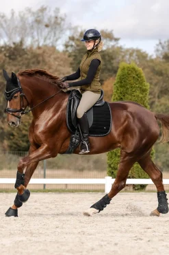 Waldhausen St. Gallen All Purpose Saddle Pad* Spring- & Vielseitigkeitsschabracken