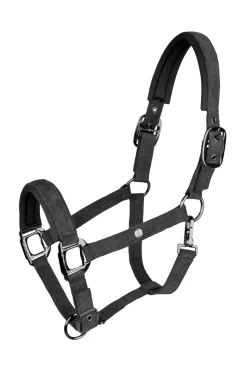 Waldhausen St. Gallen Halter* Halfter