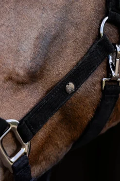 Waldhausen St. Gallen Halter* Halfter