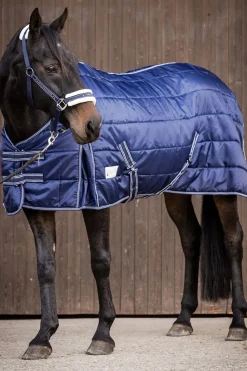 Waldhausen Stable Rug Economic 300 g* Stall- & Unterdecken