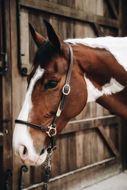 Kentucky Horsewear Stallhalfter Leder* Lederhalfter