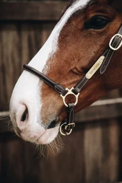 Kentucky Horsewear Stallhalfter Leder* Lederhalfter