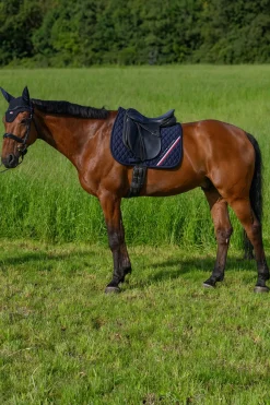 Tommy Hilfiger Equestrian Stanford Dressurschabracke* Dressurschabracken