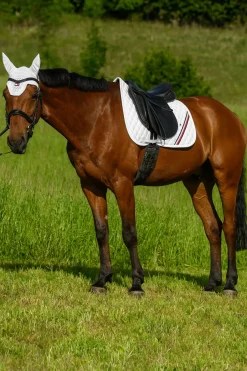 Tommy Hilfiger Equestrian Stanford Dressurschabracke* Dressurschabracken