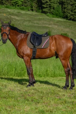 Tommy Hilfiger Equestrian Stanford Dressurschabracke* Dressurschabracken