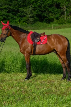 Tommy Hilfiger Equestrian Stanford Springschabracke* Spring- & Vielseitigkeitsschabracken