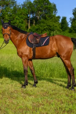 Tommy Hilfiger Equestrian Stanford Springschabracke* Spring- & Vielseitigkeitsschabracken